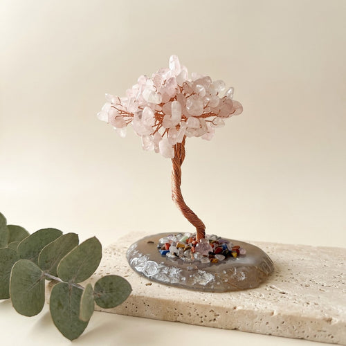 Bonsai Agata