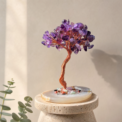 Bonsai Agata