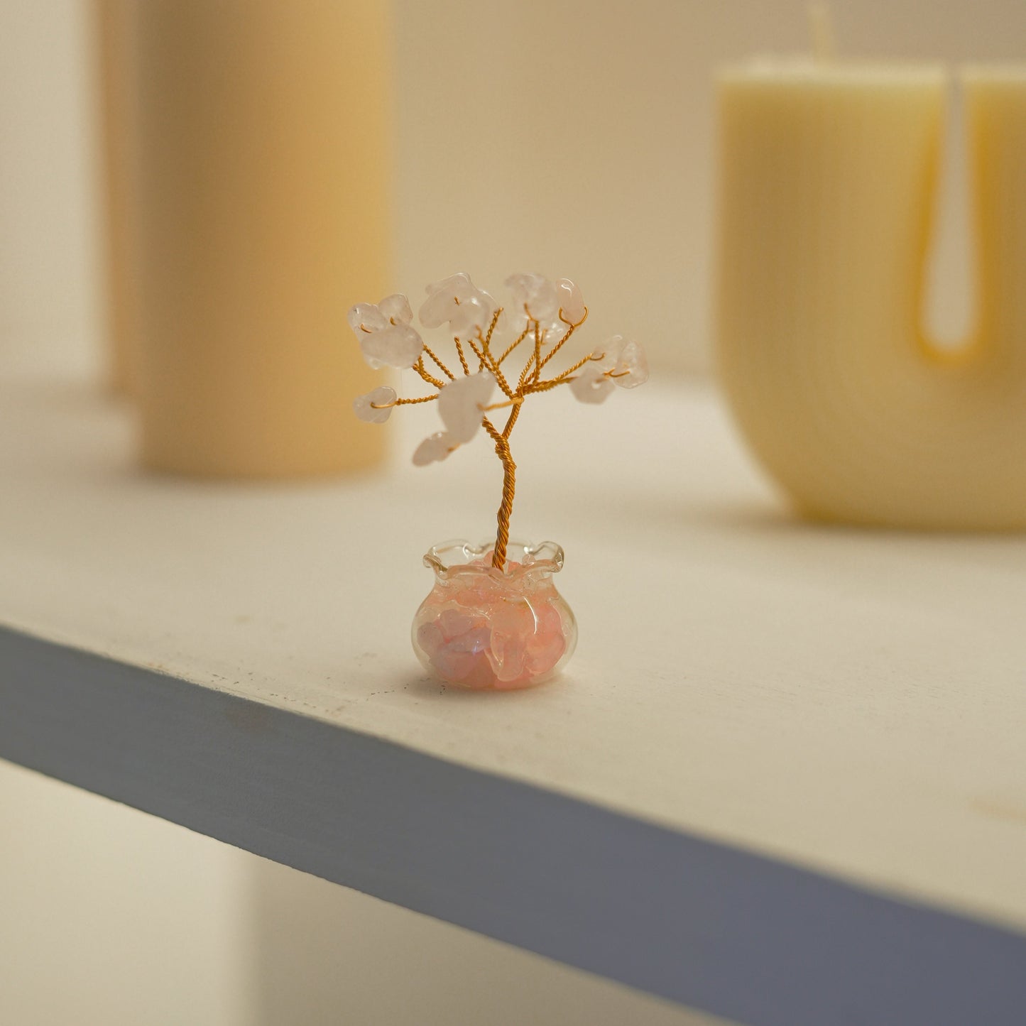 Mini Bonsai