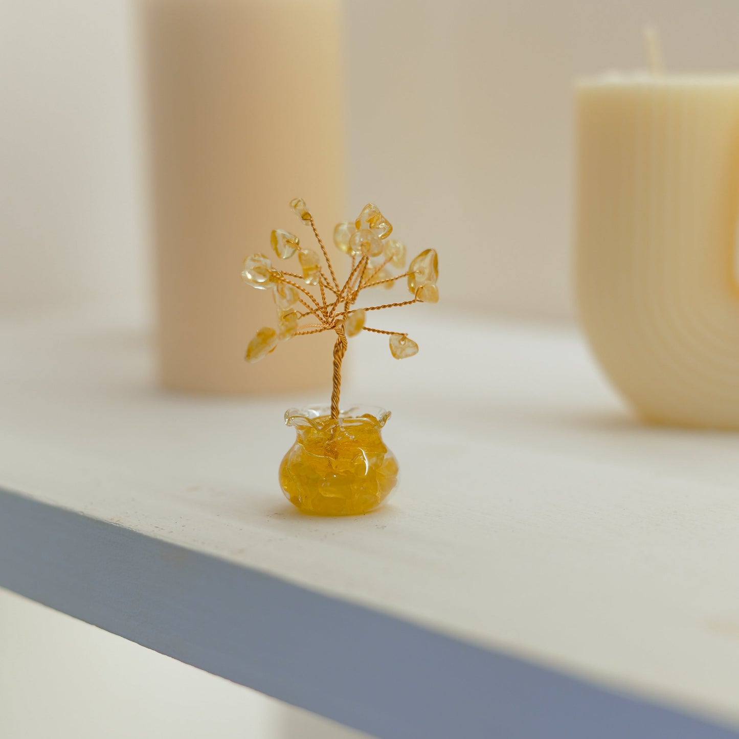 Mini Bonsai