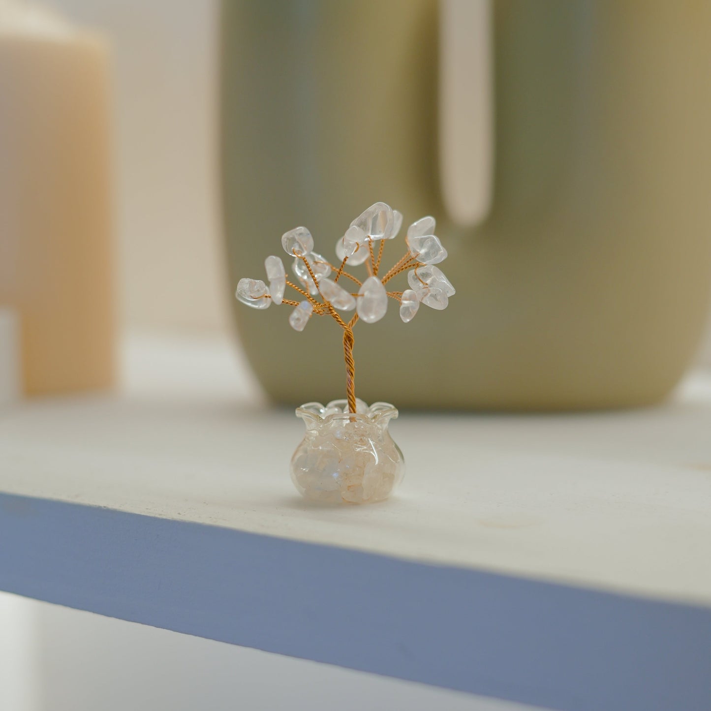 Mini Bonsai