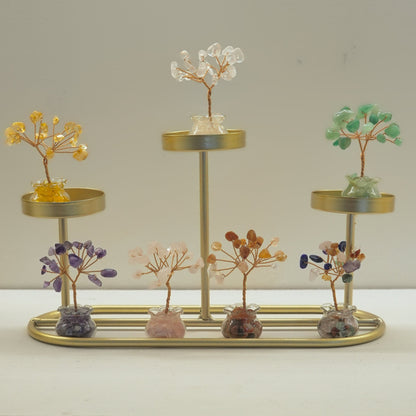 Mini Bonsai
