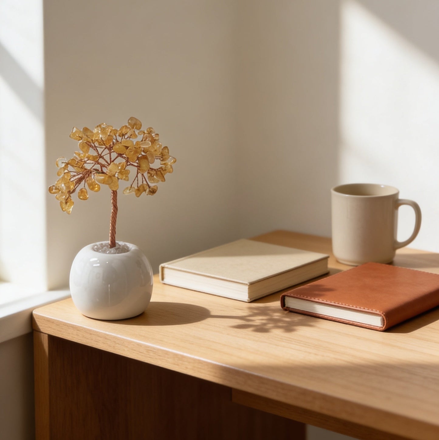Bonsai Ceramica