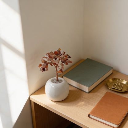 Bonsai Ceramica