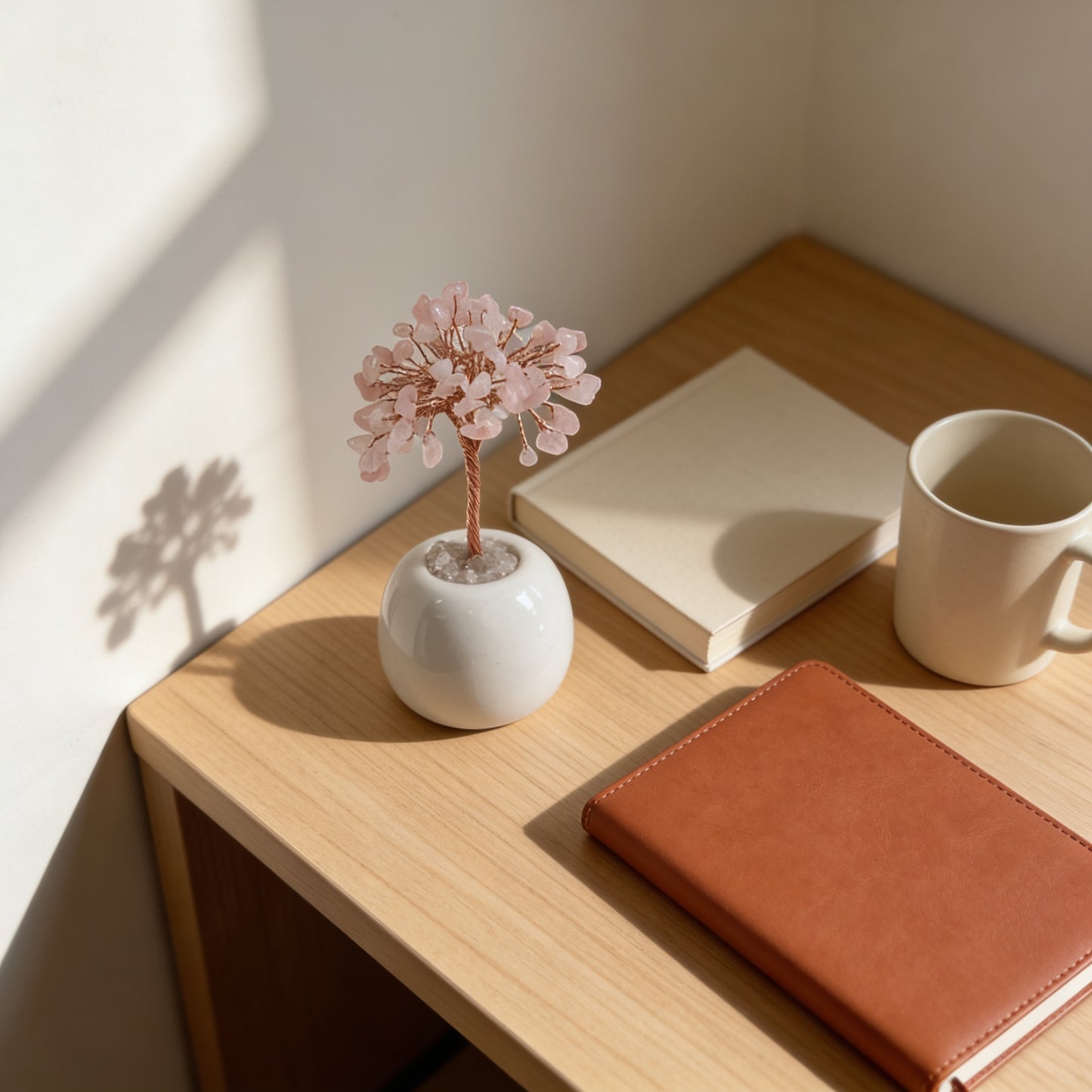 Bonsai Ceramica