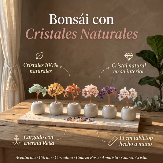 Bonsai Ceramica
